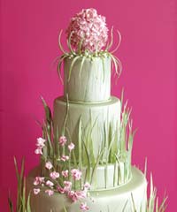 torte