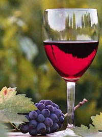 vino za zdravlje